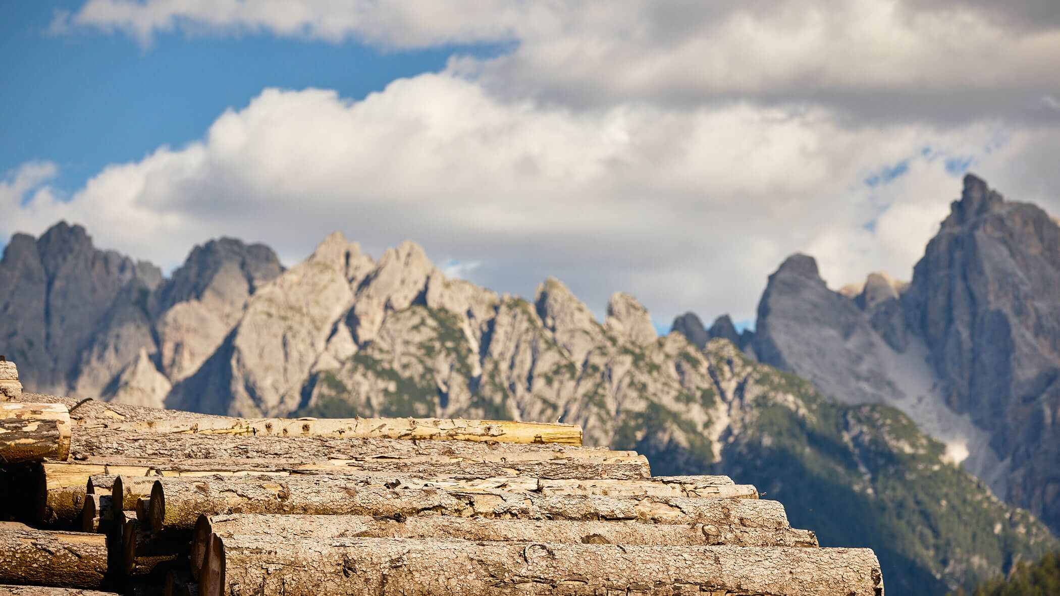Unternehmen Taschler Holz